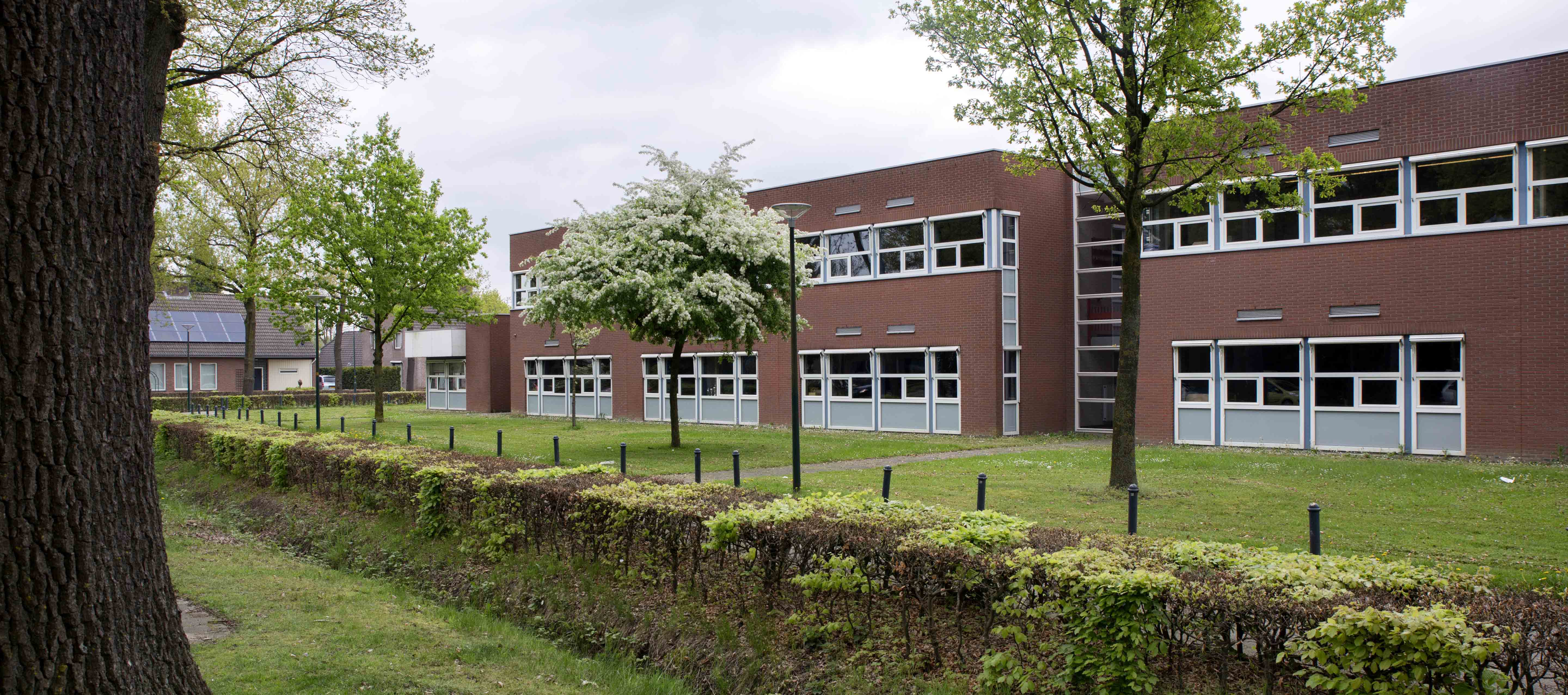 ontwikkelplatform NXT